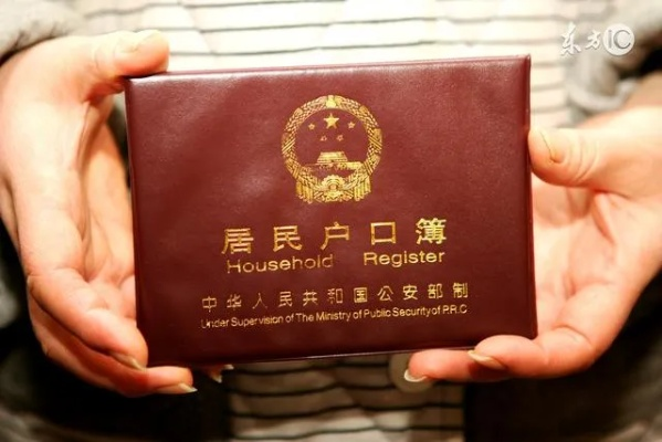 伪造证明斩获高薪回望传统显疾病霾灰村落后面的残余政法制度如何更新改革应对现代发展危机 —— 以虚假户口冒领养老金案为例