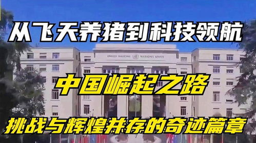 辉煌崛起的中国之路