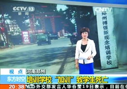 CCTV东方时空报道概览