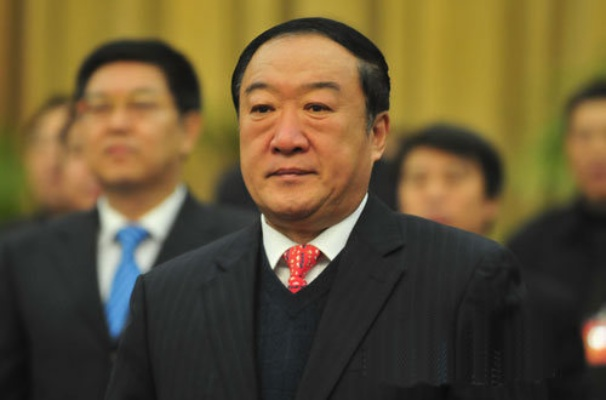 苏荣儿子，家庭背景与成长历程揭秘