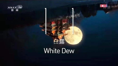 古代预言家与穿越时空的智慧之声