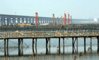 大象网，搭建世界信息桥梁