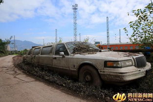 加长林肯僵尸车遭弃路边超五年