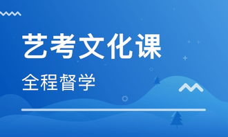 艺考生文化课辅导培训，梦想起航的关键一步