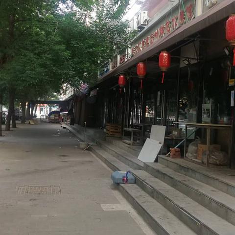 探索天津宠物美容培训学校，开启宠物护理与美容的专业之旅