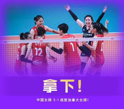 力量、策略与坚韧，女子网球比赛的华丽三重奏