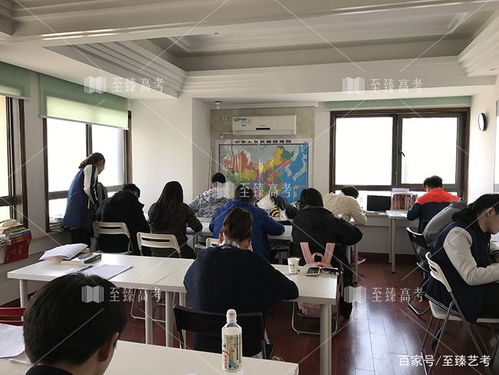 艺术生文化课培训机构，梦想起航的教育港湾