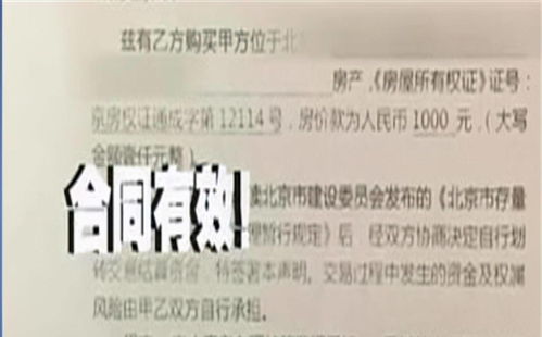 老太与儿子房产纠纷对簿公堂，法院作出判决