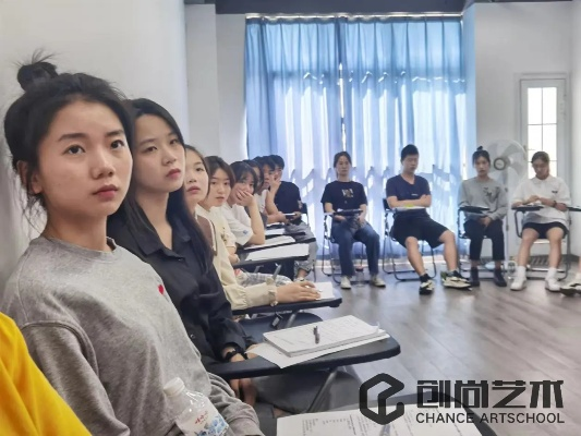 艺考文化课培训机构，艺术梦想腾飞的关键助力