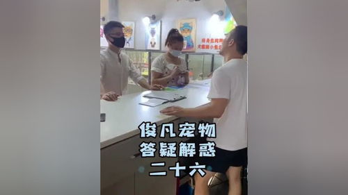 深度探秘宠物美容培训学校