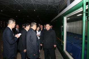 金正恩返回平壤