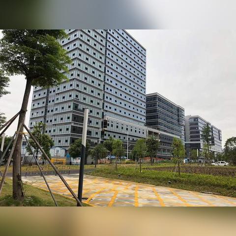 外资机构预测黄金价格将飙升至5000美元